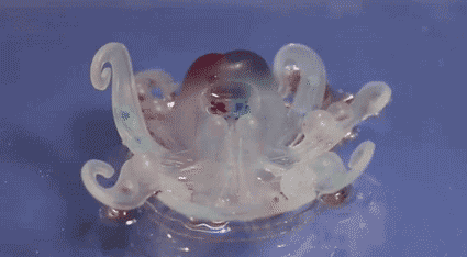 128678.gif