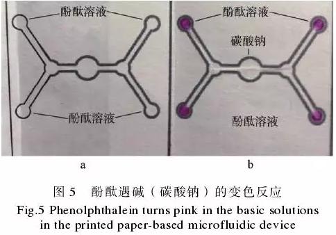 為了驗證紙包裝與紙基微流控芯片的整合技術(shù),在紙盒的4個體板上分別制作了4個微流控芯片,該紙基芯片在pH值檢測中的應用示例見圖5。 為了驗證紙包裝與紙基微流控芯片的整合技術(shù),在紙盒的4個體板上分別制作了4個微流控芯片,該紙基芯片在pH值檢測中的應用示例見圖5。