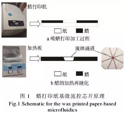 使用蠟打印加工紙基微流控芯片的方法,其基本原理見圖1。 使用蠟打印加工紙基微流控芯片的方法,其基本原理見圖1。
