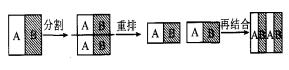 圖 2 　靜態微混合器的混合原則