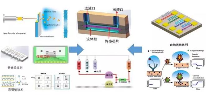 微納機械結構生化傳感器