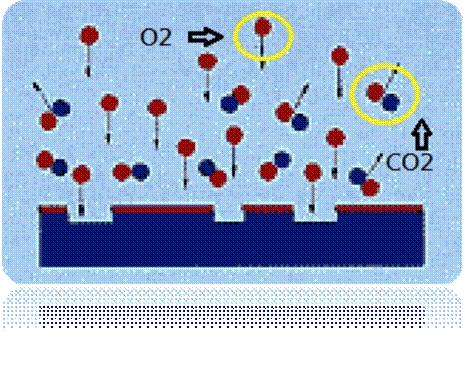 圖二為已被電離化的氣體分子團（Plasma）對被處理材料的分子團進行撞擊及反應。