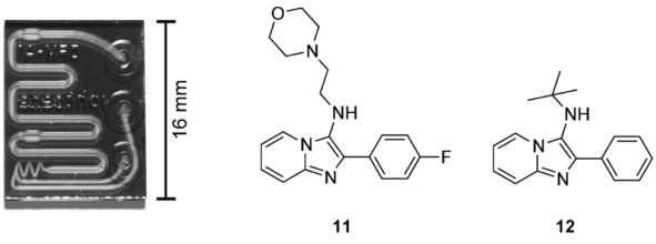 用于合成G蛋白偶聯(lián)受體調(diào)節(jié)化合物的微流控芯片。來自Rodrigues等人的圖片 “通過微流體系統(tǒng)獲得新的化學(xué)實(shí)體?！? width=