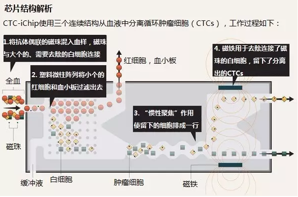 芯片結構解析