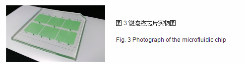 微流控芯片實物圖