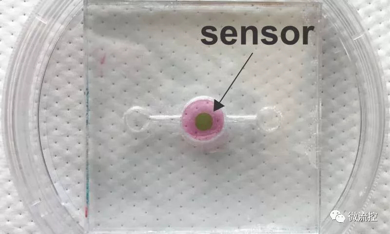 生物傳感器
