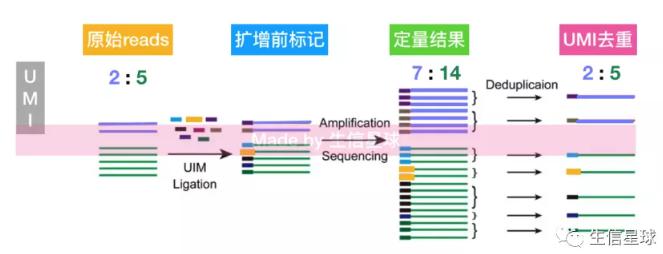 PCR