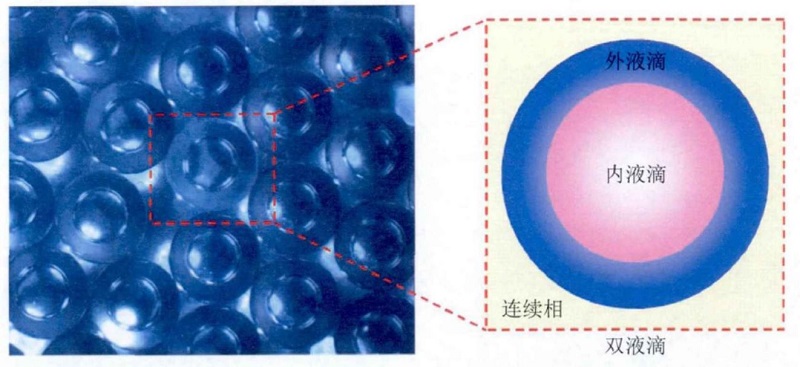 乳液