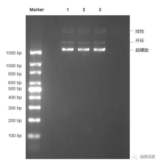 硅羥基磁珠