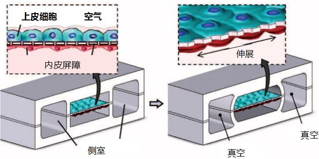 圖片2.png
