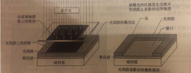 微信截圖_20230802095428.png