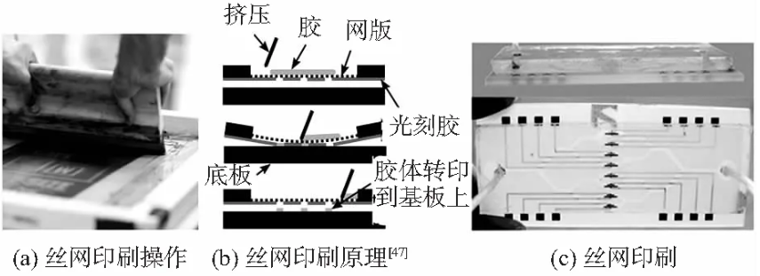 圖片1.png